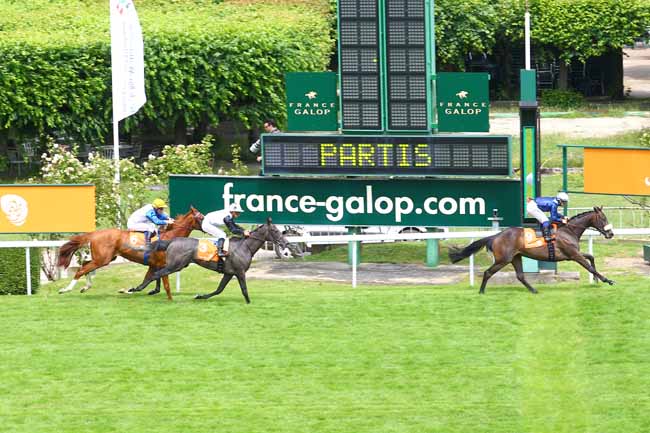 Arrivée quinté pmu ABU DHABI PRIX DE MALLERET à SAINT-CLOUD