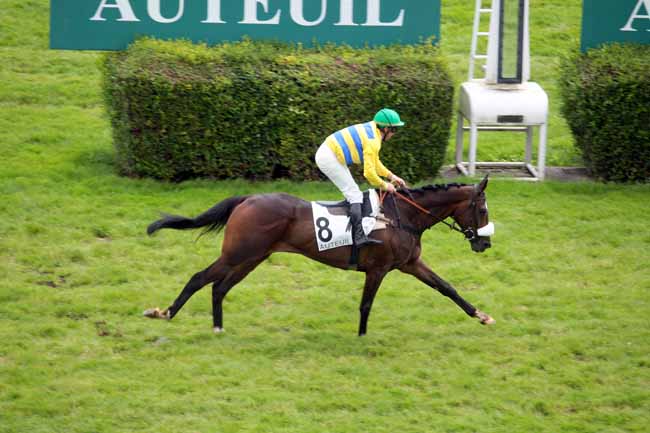 Arrivée quinté pmu PRIX DU BEARN à AUTEUIL