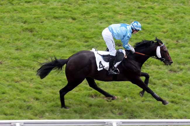 Arrivée quinté pmu PRIX GERALD DE ROCHEFORT à AUTEUIL