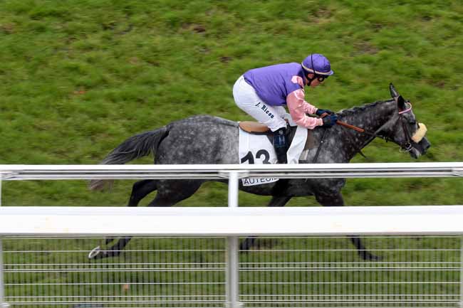 Arrivée quinté pmu PRIX DAWN RUN à AUTEUIL