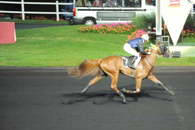 Arrivée quinté pmu PRIX CYBELE à PARIS-VINCENNES