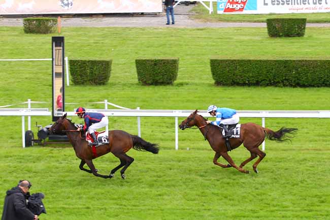 Arrivée quinté pmu PRIX DU CHEMIN DU TOCQ  (PRIX JEUX JUSTE EQUILIBRE) à CLAIREFONTAINE