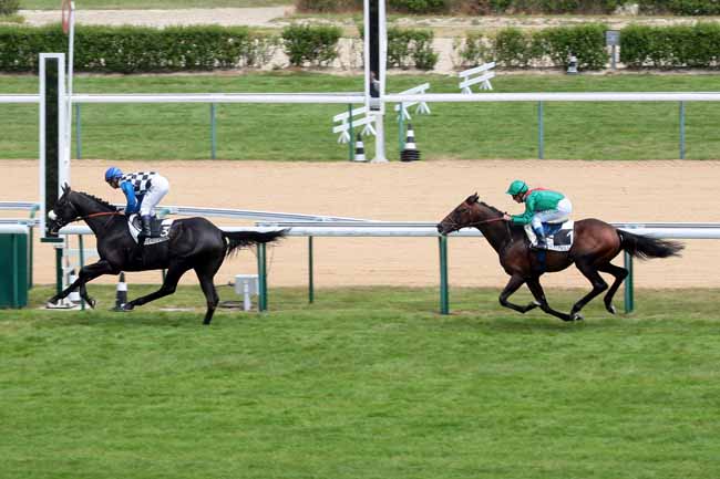 Arrivée quinté pmu PRIX DE PENNEDEPIE à DEAUVILLE