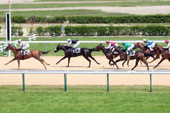 Arrivée quinté pmu PRIX DE PIERREPONT à DEAUVILLE