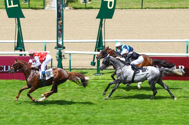 Arrivée quinté pmu PRIX COUPE DE FRANCE DES CHEVAUX ARABES à CHANTILLY