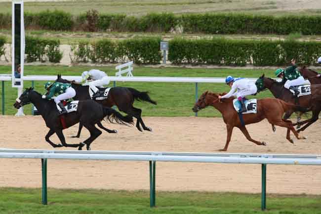 Arrivée quinté pmu PRIX DU TORQUESNE à DEAUVILLE