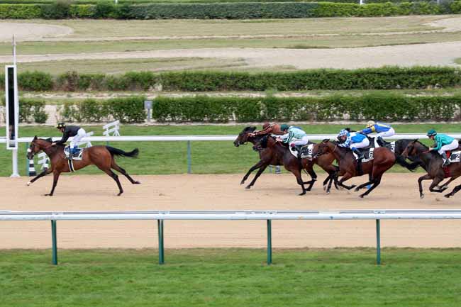 Arrivée quinté pmu PRIX DE MORICAND à DEAUVILLE