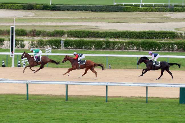 Arrivée quinté pmu PRIX DE VALOGNES à DEAUVILLE