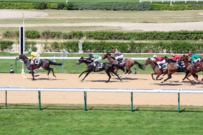 Arrivée quinté pmu PRIX DE BRICQUEBEC à DEAUVILLE
