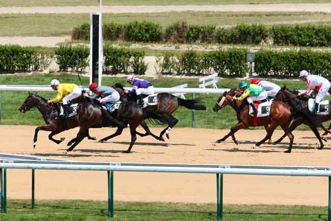 Arrivée quinté pmu PRIX DU FEUILLARD à DEAUVILLE
