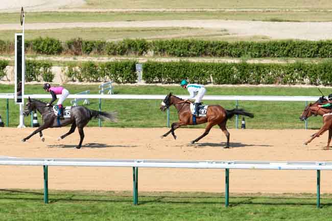 Arrivée quinté pmu PRIX DE L'ANDELLE à DEAUVILLE