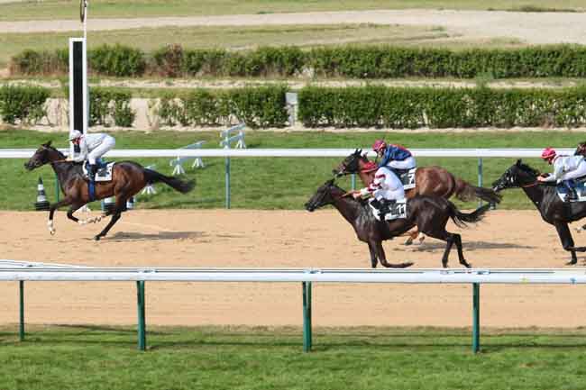 Arrivée quinté pmu PRIX DE MANERBE à DEAUVILLE