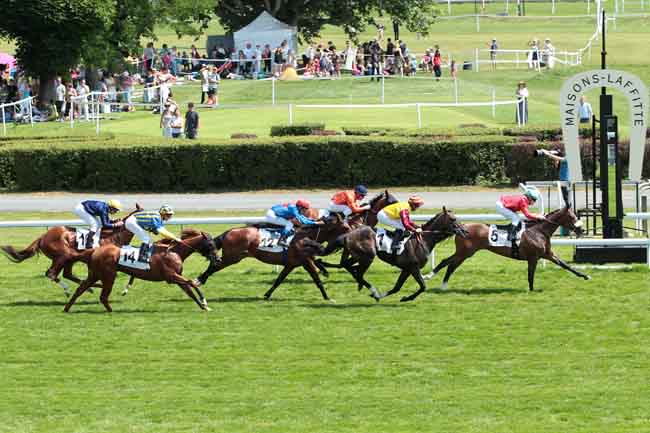 Arrivée quinté pmu PRIX DE LA VILLE DE MAISONS-LAFFITTE à MAISONS-LAFFITTE