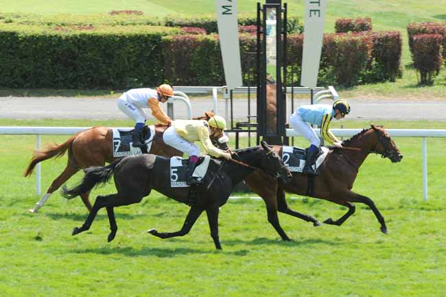 Arrivée quinté pmu PRIX BELEBAT à MAISONS-LAFFITTE