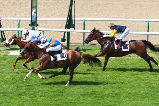 Arrivée quinté pmu PRIX DES LIONS à CHANTILLY