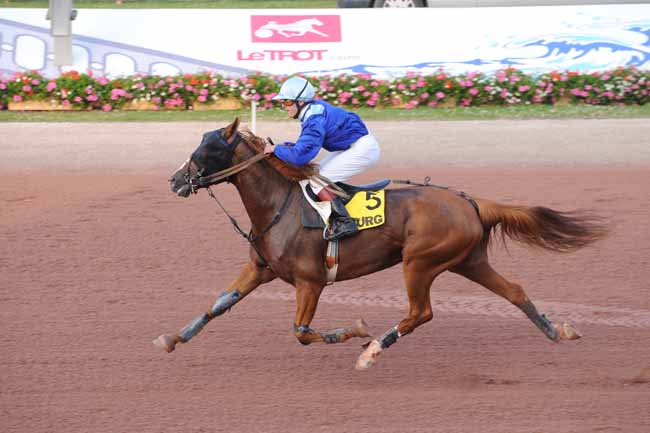 Arrivée quinté pmu PRIX DES NENUPHARS à CABOURG