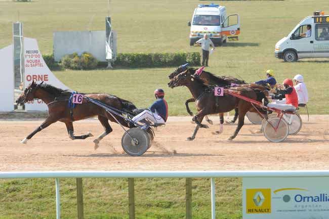 Arrivée quinté pmu PRIX DE LA SEINE MARITIME à ARGENTAN