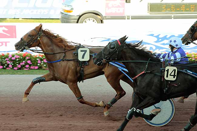 Arrivée quinté pmu PRIX DES CAMELIAS à CABOURG