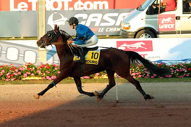 Arrivée quinté pmu PRIX DES PETUNIAS à CABOURG