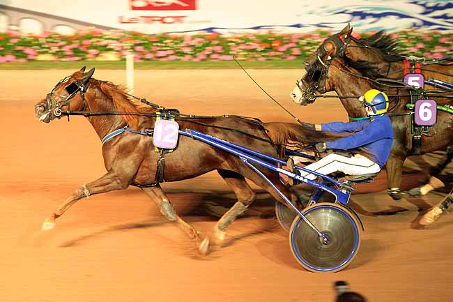 Arrivée quinté pmu PRIX DES VIOLETTES à CABOURG