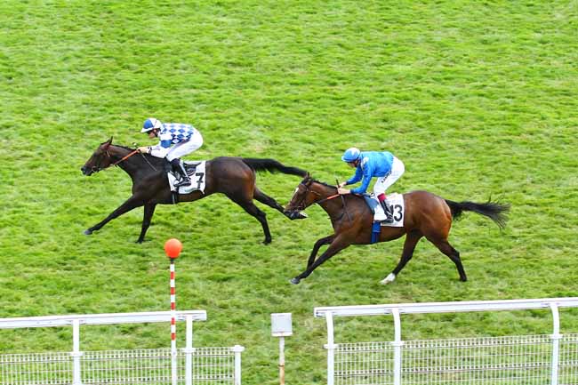 Arrivée quinté pmu PRIX GENYCOURSES (PRIX DU HARAS DU ROBILLARD) à MAISONS-LAFFITTE