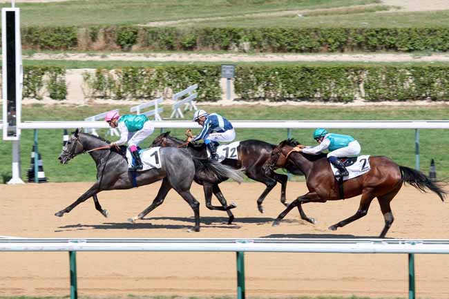 Arrivée quinté pmu PRIX DE COUPESARTE à DEAUVILLE