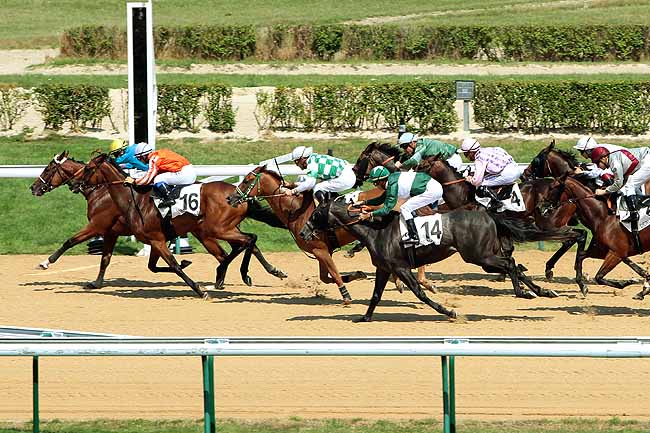 Arrivée quinté pmu PRIX DU BREUIL-EN-AUGE à DEAUVILLE