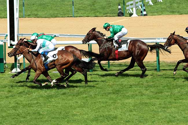 Arrivée quinté pmu PRIX DE TROARN à DEAUVILLE