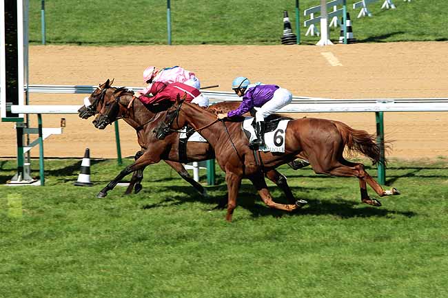 Arrivée quinté pmu PRIX DE CAYRAS à DEAUVILLE