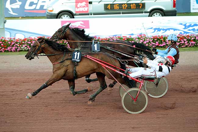 Arrivée quinté pmu PRIX DES TOURNESOLS - PRIX DES JEUX EQUESTRES MONDIAUX à CABOURG