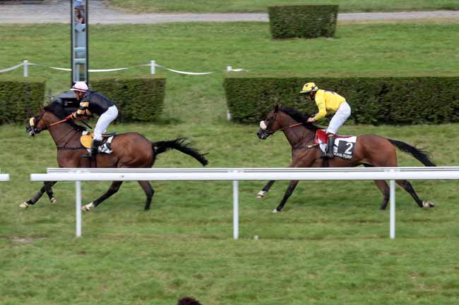 Arrivée quinté pmu GRANDE COURSE DE HAIES - PRIX GUILLAUME D'ORNANO à CLAIREFONTAINE