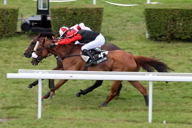 Arrivée quinté pmu PRIX TILLEULS à CLAIREFONTAINE