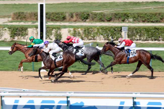 Arrivée quinté pmu PRIX DE L'HIPPODROME DE MARONAS à DEAUVILLE
