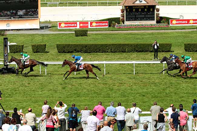 Arrivée quinté pmu PRIX DE LA PETITE FERME à CLAIREFONTAINE
