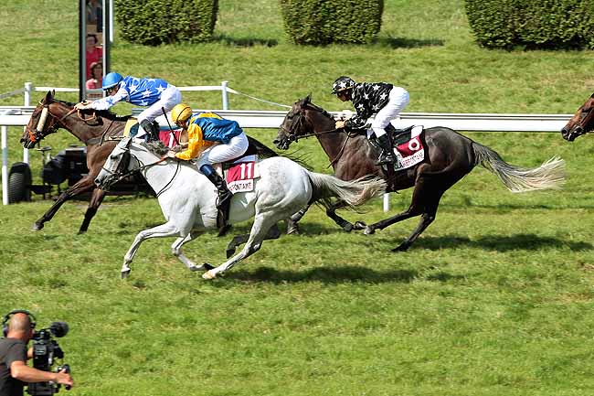 Arrivée quinté pmu PRIX DE SAINT-JOUIN à CLAIREFONTAINE