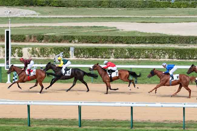 Arrivée quinté pmu PRIX DE COURBEPINE à DEAUVILLE