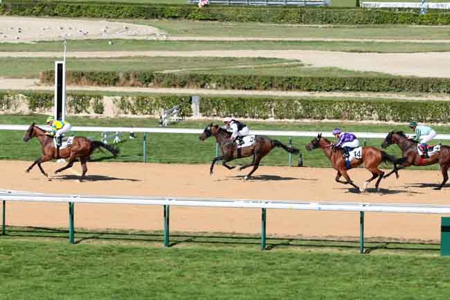 Arrivée quinté pmu PRIX DU GRAND CANAL à DEAUVILLE