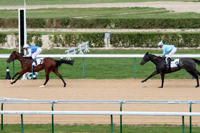 Arrivée quinté pmu PRIX DE CERISY à DEAUVILLE