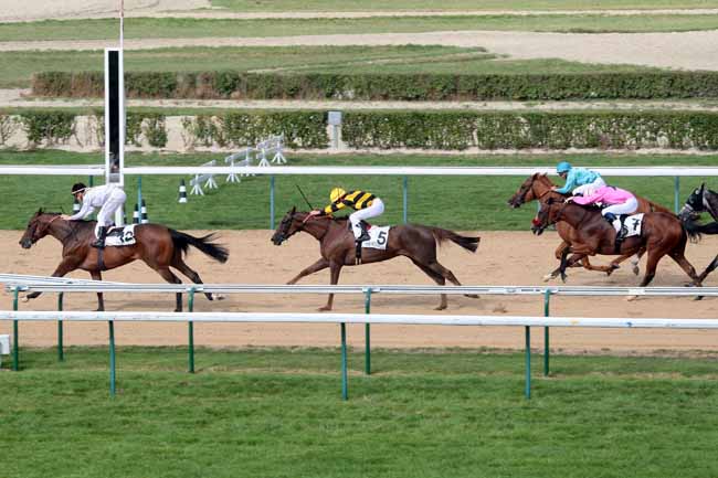 Arrivée quinté pmu PRIX DU BOIS BARBOT à DEAUVILLE
