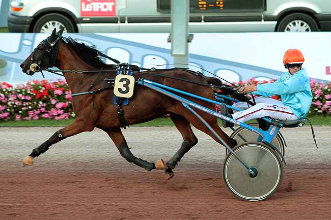 Arrivée quinté pmu PRIX DES ANTHEMIDES à CABOURG