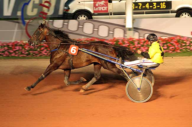 Arrivée quinté pmu PRIX DES LISERONS à CABOURG