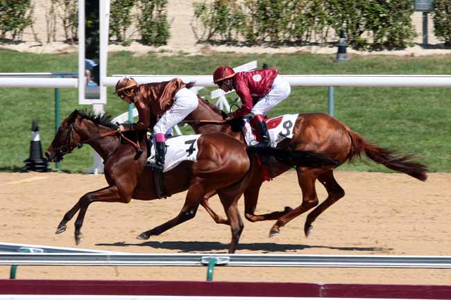 Arrivée quinté pmu PRIX DE LA PEGASERIE EQUIDIA RADIO à DEAUVILLE