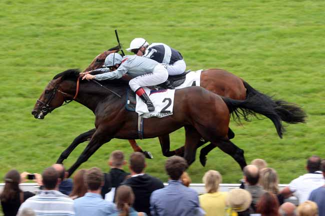Arrivée quinté pmu PRIX FRANCOIS BOUTIN à DEAUVILLE