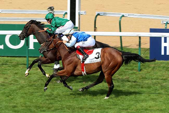 Arrivée quinté pmu PRIX MINERVE à DEAUVILLE
