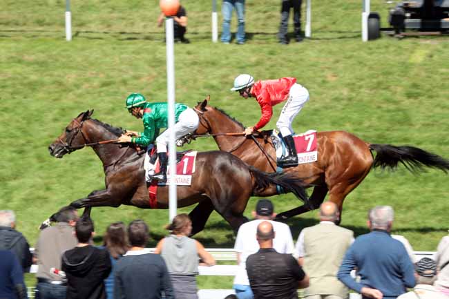Arrivée quinté pmu PRIX TIP MOSS (PRIX ECOLE BLONDEAU) à CLAIREFONTAINE