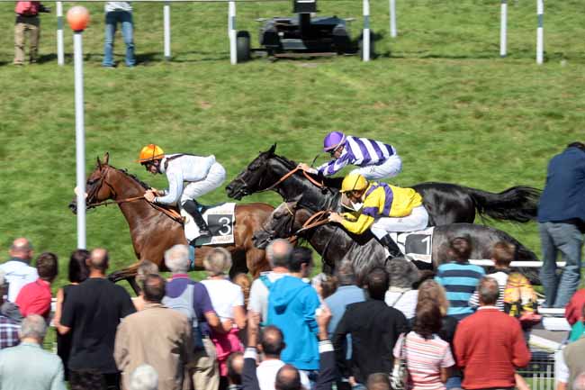 Arrivée quinté pmu PRIX DREAM WELL (PRIX DU DEFI DU GALOP) à CLAIREFONTAINE