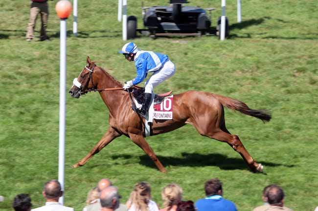 Arrivée quinté pmu PRIX DE NEPTUNE (PRIX PARI SIMPLE) à CLAIREFONTAINE