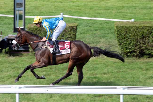 Arrivée quinté pmu PRIX DES ACONITES (PRIX WWW.PARIONSSURHIPPODROME.COM) à CLAIREFONTAINE
