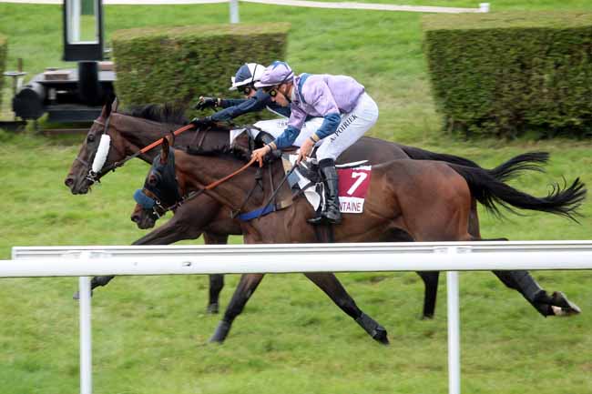 Arrivée quinté pmu PRIX DES YPREAUX (PRIX PARI TRIO) à CLAIREFONTAINE