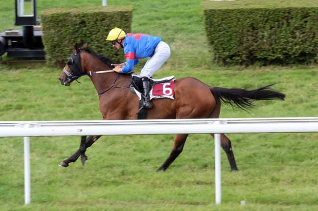 Arrivée quinté pmu PRIX DES HORTENSIAS (PRIX PARI COUPLE) à CLAIREFONTAINE